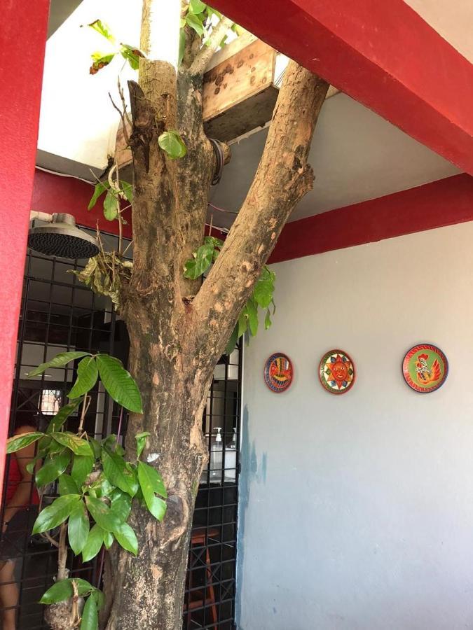 Pousada Porto Jambo Pôrto das Galinhas 外观 照片