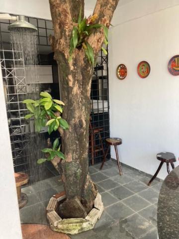 Pousada Porto Jambo Pôrto das Galinhas 外观 照片